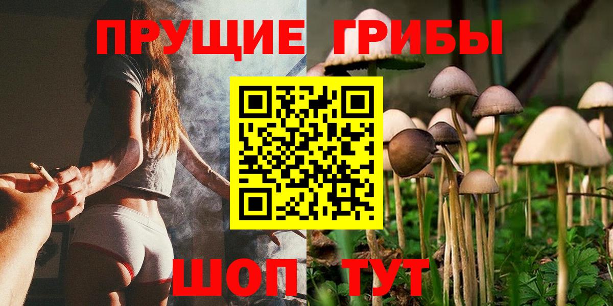 Луховицы  где найти   Вход с VPN  Галлюциногенные грибы MAGIC MUSHROOMS 