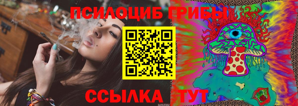 Псилоцибиновые грибы MAGIC MUSHROOMS Луховицы